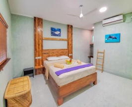 Двухместный номер Standard (2 отдельные кровати) в Вилла Dive Villa Thoddoo