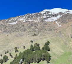 Люкс 21 в Рублёвочка