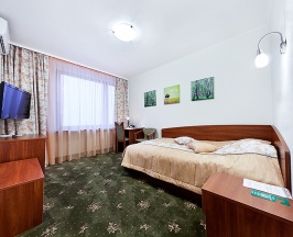 Одноместный номер Comfort в Турист