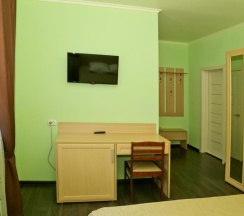 Номер стандарт с 1 двуспальной кроватью в Лесная