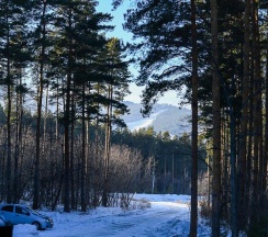 2-местный номер стандарт в Заимка Лесника