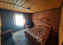 Номер стандарт с 1 двуспальной кроватью в Алтайская сказка
