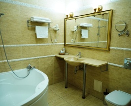 Полулюкс с раздельными кроватями в Александр