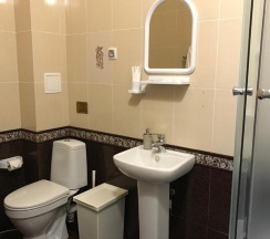 Номер комфорт с 1 двуспальной кроватью в Слобода