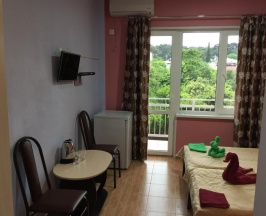 Двухместный номер Standard с балконом 2 отдельные кровати в Dionisy