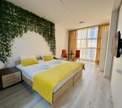 Видовая студия с панорамой 509Е в Nv Hotel