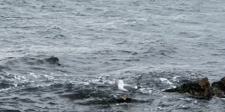 Махачкала: Гостевой дом Якорь