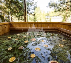 Дом ФРЕЙЯ с камином, сауной и купелью (до 6 гостей) в Berloga Country Resort