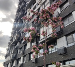 Квартира в Апартаменты на 8 марта 48 163