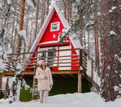 Коттедж Standard в Greenvald парк Скандинавия