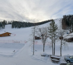 «Горный» Дабл плюс в Лесная сказка