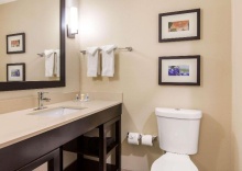 Двухместный номер Standard в Comfort Suites - South Austin