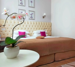 MINI LUX (комфорт бизнес) в Park & House Hotel