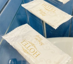 Двухместный Стандарт Плюс 5 корпус с подселением в Марциальные воды