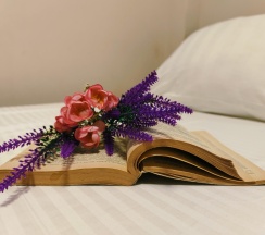 3-местная комната стандарт в Талисман Джемете