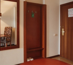 Бизнес класс комфортный с двумя кроватями/ или одной широкой кроватью и диваном-кроватью в Бенефит Плаза