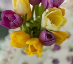 Номер "Комфорт" в Снегурочка