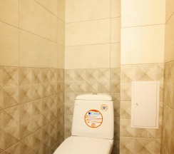 1-комнатные апартаменты стандарт с 1 двуспальной кроватью в Альт отель апартаменты