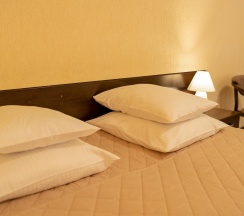 3-местный номер стандарт семейный в Аврора