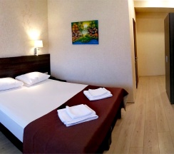 Полулюкс с балконом в Shamsi hall