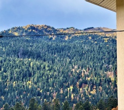 Двухэтажный дом с кухней в Hayat Haus