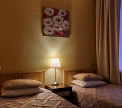 Стандарт с раздельными кроватями в Поместье