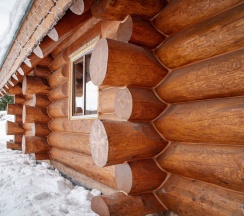 Дом с двумя спальнями  в Весенний