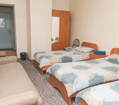 Стандарт, 3х мест. (1 комн.) - (№1, №2, №3) в Новый континент