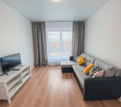 Квартира в Апартаменты на г Люберцы, ул лётчика Ларюшина, д 4 к 1, кв 168