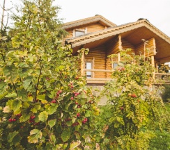 VIP-Дом в Ярославна