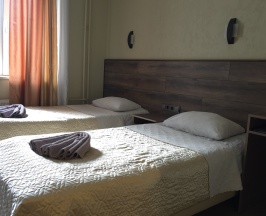 Двухместная комната с общей ванной в Орловский дом