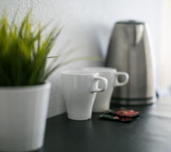 Стандарт Двухместный в Гагарин