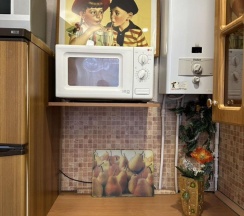 Апартаменты стандарт Кузнечный переулок, 10 в Ключи Петербурга