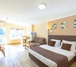 Двухместный люкс двуспальная кровать в Гостевой Дом Центральный