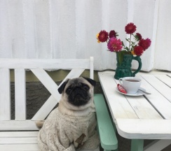 Апартаменты Дуплекс в Гостевой дом