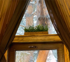 А-Фрейм «Лесной орех» в Aldi-Karelia