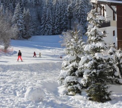 Апартаменты в Résidence Grand Bois A1118 Clés Blanches
