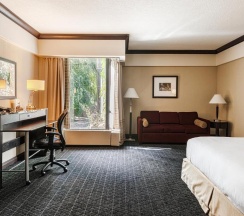 Двухместная студия с видом на сад двуспальная кровать в Hotel Bonaventure Montreal