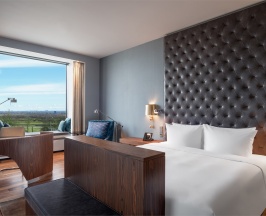 НОМЕР ЛЮКС КАТЕГОРИИ ДЕЛЮКС в Hilton Saint Petersburg ExpoForum