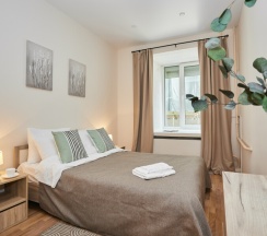 Двухместный номер Комфорт с двуспальной кроватью в Moi Smolny