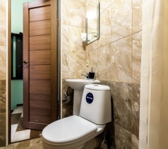 семейный классический номер в Bronnitskaya