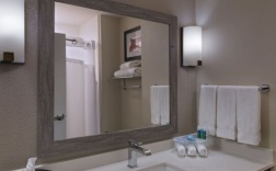 Одноместный люкс односпальная кровать в Holiday Inn Express & Suites Austin NW - Four Points, an IHG Hotel