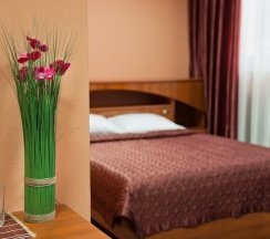Стандарт/Standard Double Room (однокомнатный номер с одной двуспальной кроватью) в Воронеж