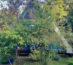 Эконом 3-х местный в Золотая бухта