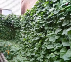 Дом в Уютный