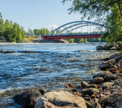 Лосевские пороги в Лосевские пороги
