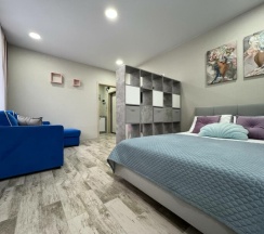 Однокомнатный Люкс (219) в Frukty Rent