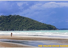 Одноместный номер Economy в Yellow House Rayong