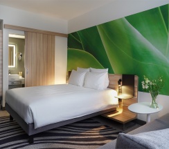 Номер Executive с двуспальной кроватью в Novotel Санкт-Петербург Центр