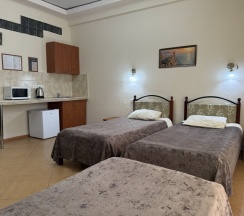 Трехместный стандарт в Замок